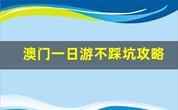 澳门一日游不踩坑攻略_澳门氹仔美食一条街