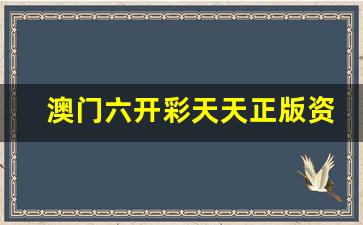 澳门六开彩天天正版资料_澳门天天彩全年正版资料