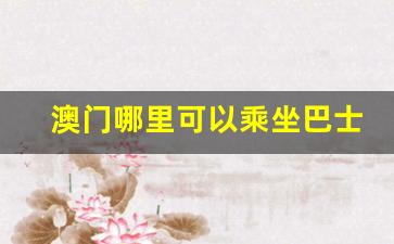 澳门哪里可以乘坐巴士回珠海_澳门横琴口岸免费巴士