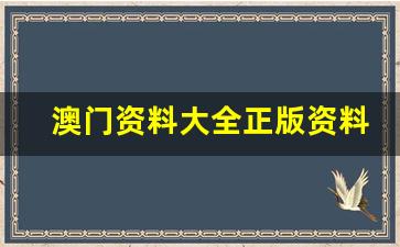 澳门资料大全正版资料查询2