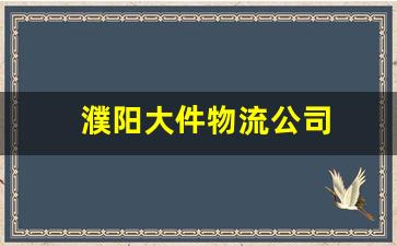 濮阳大件物流公司