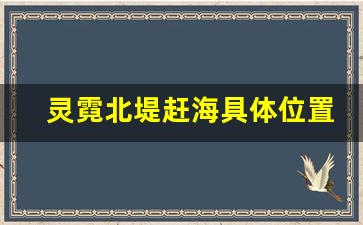 灵霓北堤赶海具体位置_温州灵昆岛哪里可以赶海