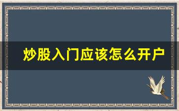 炒股入门应该怎么开户