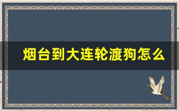 烟台到大连轮渡狗怎么带_狗可以坐轮渡吗