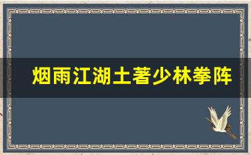 烟雨江湖土著少林拳阵容推荐_烟雨江湖少林拳进阶选哪个