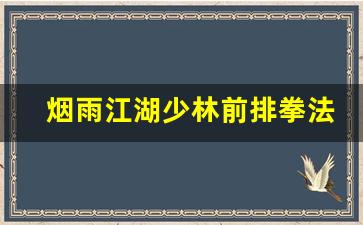 烟雨江湖少林前排拳法攻略