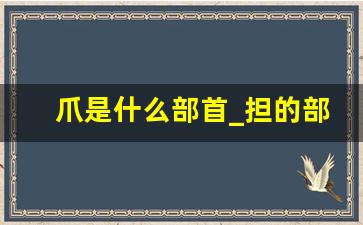 爪是什么部首_担的部首是什么偏旁