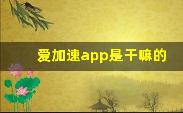 爱加速app是干嘛的