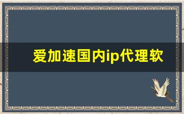 爱加速国内ip代理软件_类似爱加速的代理ip软件