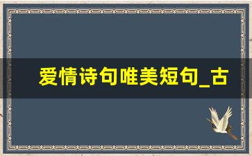 爱情诗句唯美短句_古风求婚经典句子