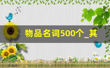 物品名词500个_其他必备的生活用品英文