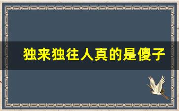 独来独往人真的是傻子吗