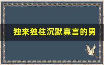 独来独往沉默寡言的男生_独来独往的人经历了什么