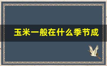 玉米一般在什么季节成熟_玉米熟的季节是几月份