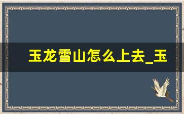 玉龙雪山怎么上去_玉龙雪山费用明细2023