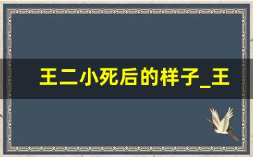 王二小死后的样子_王二小死亡视频