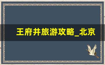 王府井旅游攻略_北京15个最适合带孩子去玩的地方