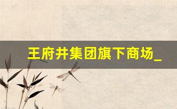 王府井集团旗下商场_王府井集团属于什么企业