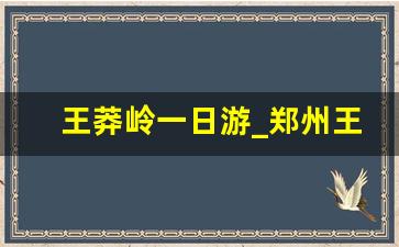 王莽岭一日游_郑州王莽岭一日游多少钱