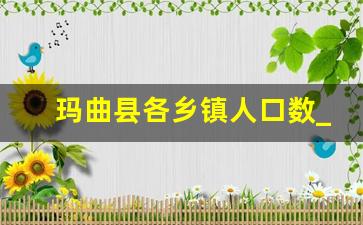 玛曲县各乡镇人口数_常宁市各乡镇人口数