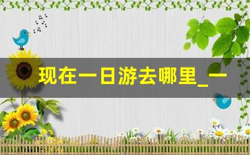 现在一日游去哪里_一日游上哪玩比较好