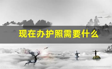 现在办护照需要什么