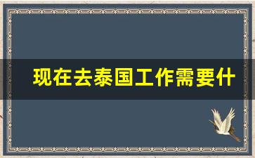 现在去泰国工作需要什么条件_去泰国工作要准备什么资料