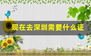 现在去深圳需要什么证件_去深圳打工要办什么手续