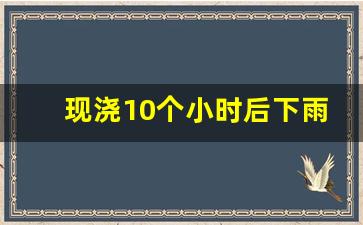 现浇10个小时后下雨_现浇第二天下雨可以吗