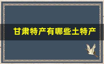 甘肃特产有哪些土特产可以带走