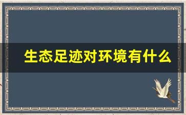 生态足迹对环境有什么影响