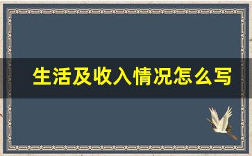 生活及收入情况怎么写_家庭收入情况分类