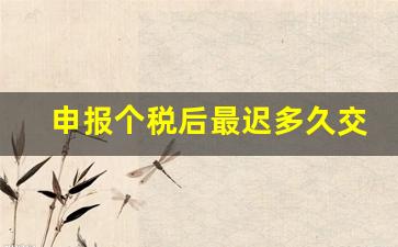 申报个税后最迟多久交费_个税申报晚了几天申报成功