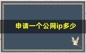 申请一个公网ip多少钱_开通公网ip后有什么影响