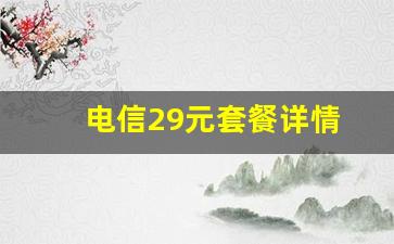 电信29元套餐详情