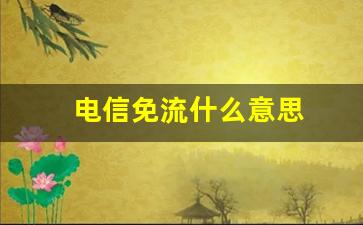 电信免流什么意思