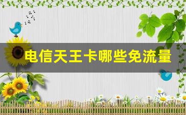 电信天王卡哪些免流量