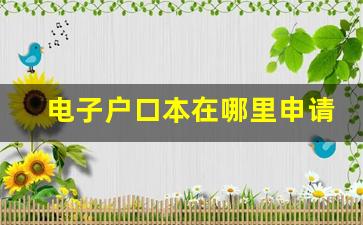 电子户口本在哪里申请_父母不给户口本能离婚吗