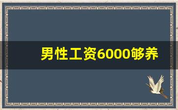 男性工资6000够养家吗_老公工资5000想离婚了