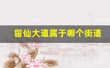 留仙大道属于哪个街道_深圳市南山区街道划分高清图