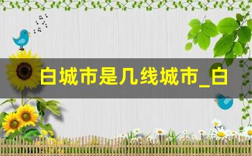 白城市是几线城市_白城市哪个区最繁华