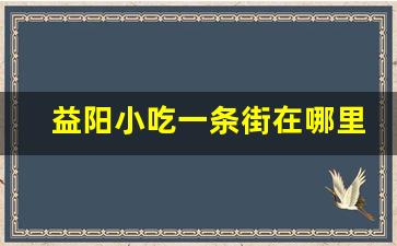 益阳小吃一条街在哪里