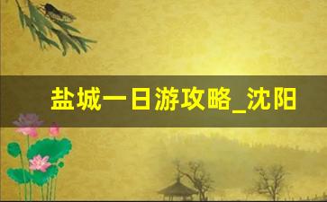 盐城一日游攻略_沈阳古镇一日游