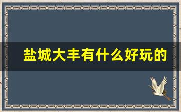 盐城大丰有什么好玩的地方和景点