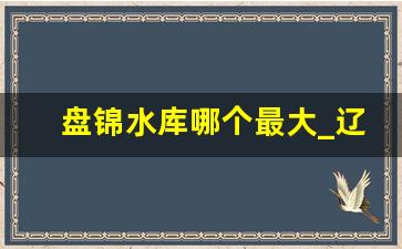 盘锦水库哪个最大_辽宁大洼有几个水库