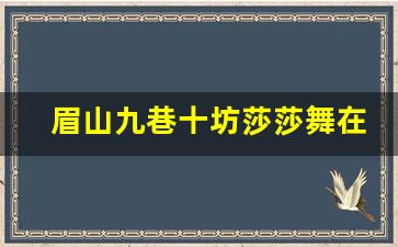 眉山九巷十坊莎莎舞在哪里