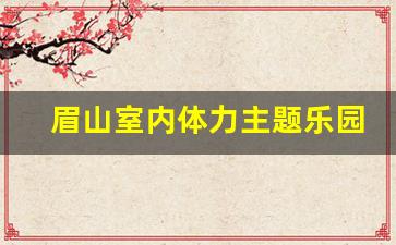 眉山室内体力主题乐园有哪些项目