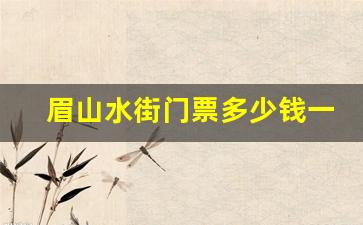 眉山水街门票多少钱一张_眉山水街怎么样好耍不