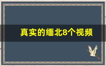 真实的缅北8个视频