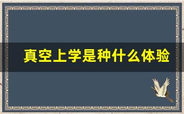 真空上学是种什么体验_初级真空任务